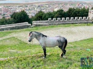 berat kandili mesajları