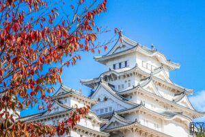 japonya